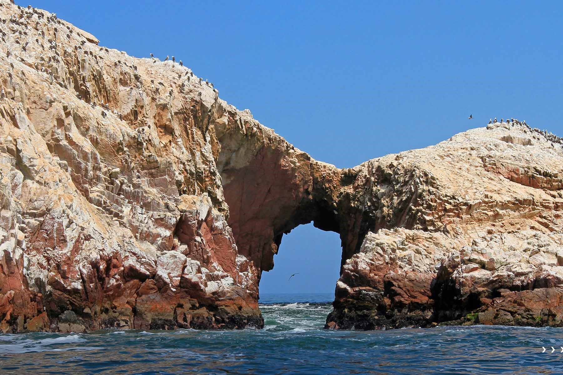 Îles Ballestas