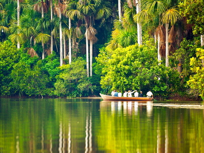 jungle L’Amazonie Péruvienne 4 Jours