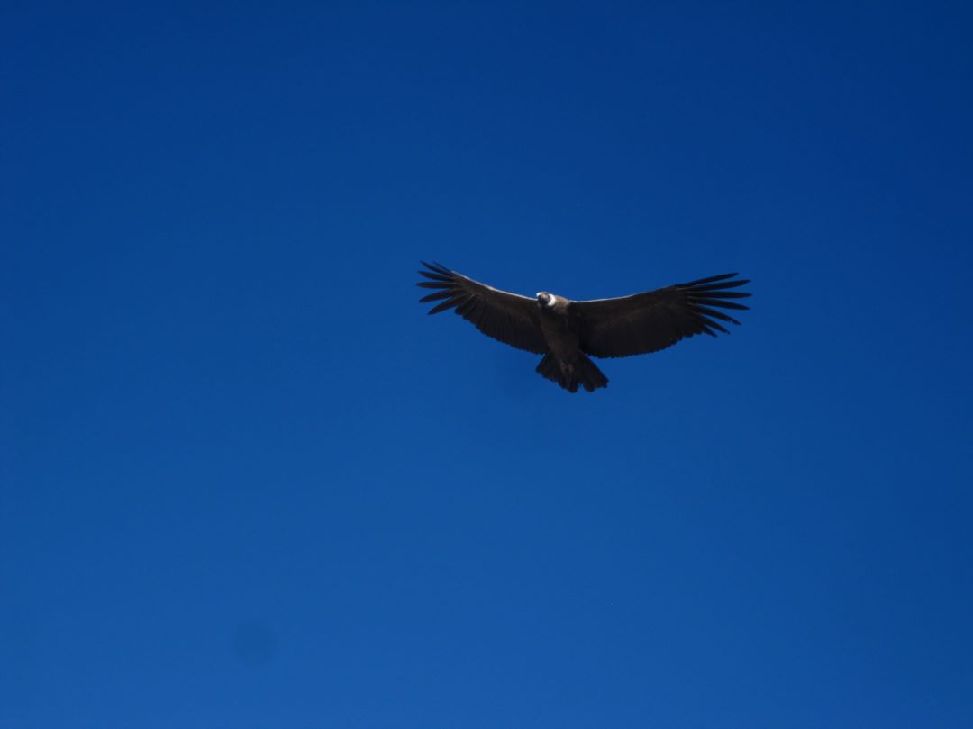 Photographie du voyage