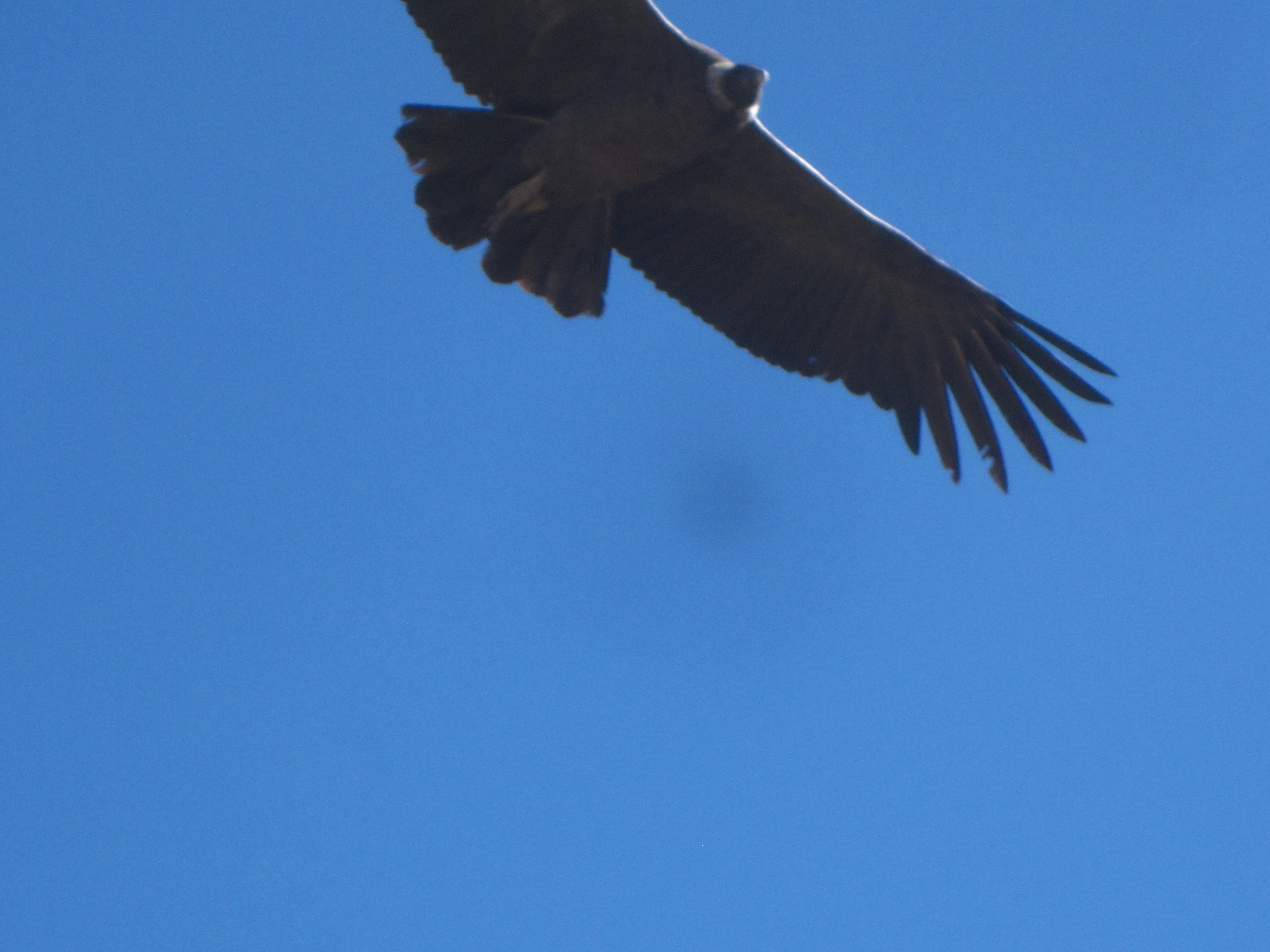 Photographie du voyage