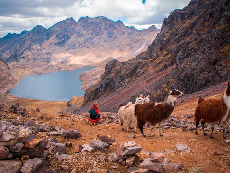 Trek Lares