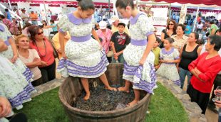 large_303_Festival_Internacional_de_la_Vendimia